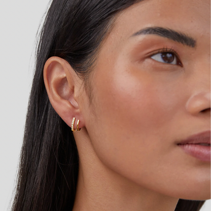 Claw Gold & Crystal Earrings